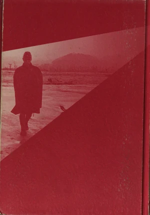 Embracing Defeat: Japan in the Wake of World War II の書影
